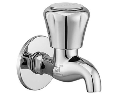 Picture of RB-103 Essess Series Robus Pro Bib Cock With Wall Flange