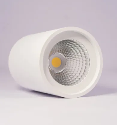 Picture of HAVELLS , LED FLOURES SURFACE SPOT WHT 12 W 4000 K	
