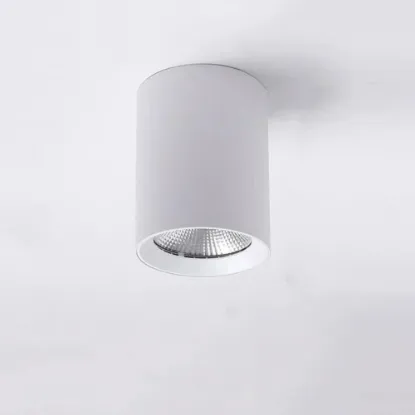 Picture of HAVELLS , LED FLOURES SURFACE SPOT WHT 7 W 3000 K	