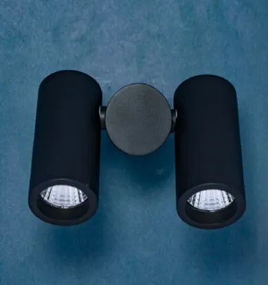 Picture of HAVELLS , LED DUOSPOT SURFACE ROUND BLK 10 W 3000 K	