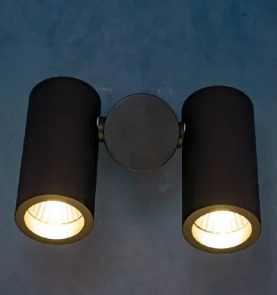 Picture of HAVELLS , LED DUOSPOT SURFACE ROUND BLK 10 W 3000 K	