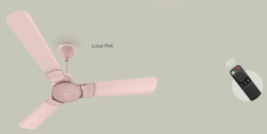 Picture of Atomberg, Erica Matte Finish, Ceiling Fan, Lotus Pink Colour