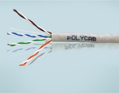 Picture of Polycab LAN Cables CAT 5E UTP FR -PVC , 305m, FR-PVC jacket