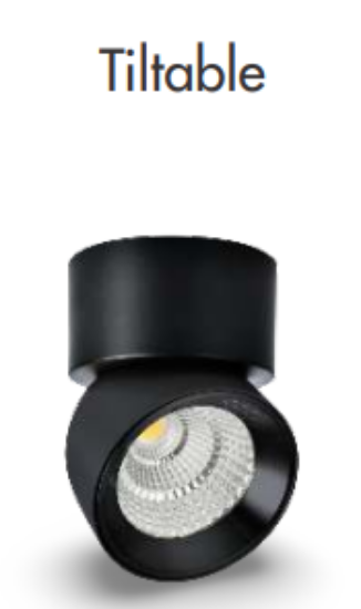 Picture of Emilio ML-SF257 Surface COB Lighting System- 12W, Black Colour