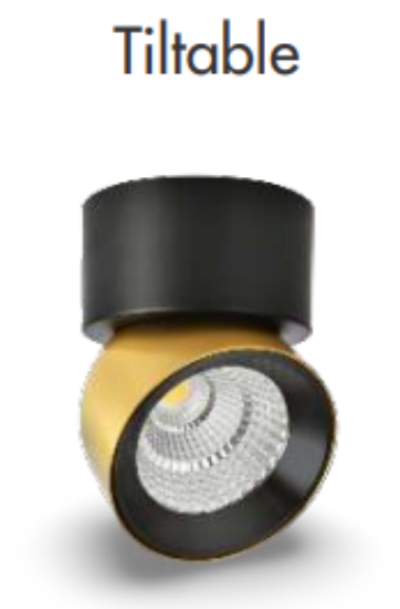 Picture of Emilio ML-SF257 Surface COB Lighting System- 12W, Black & M.Gold Colour