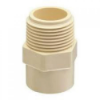 Picture of CPVC Plain MTA, Plain Fittings- 3/4 Inch, Cream Colour