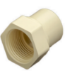 Picture of CPVC Plain FTA, Plain Fittings- 3/4 Inch, Cream Colour